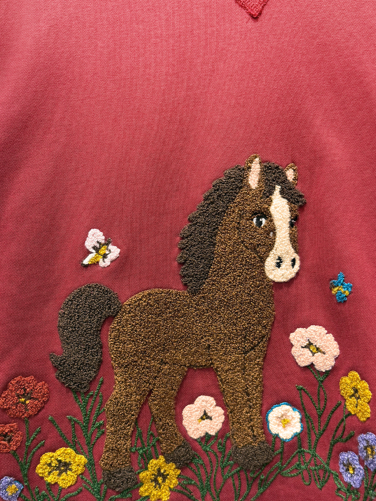 Pony Garden Embroidered Hoodie