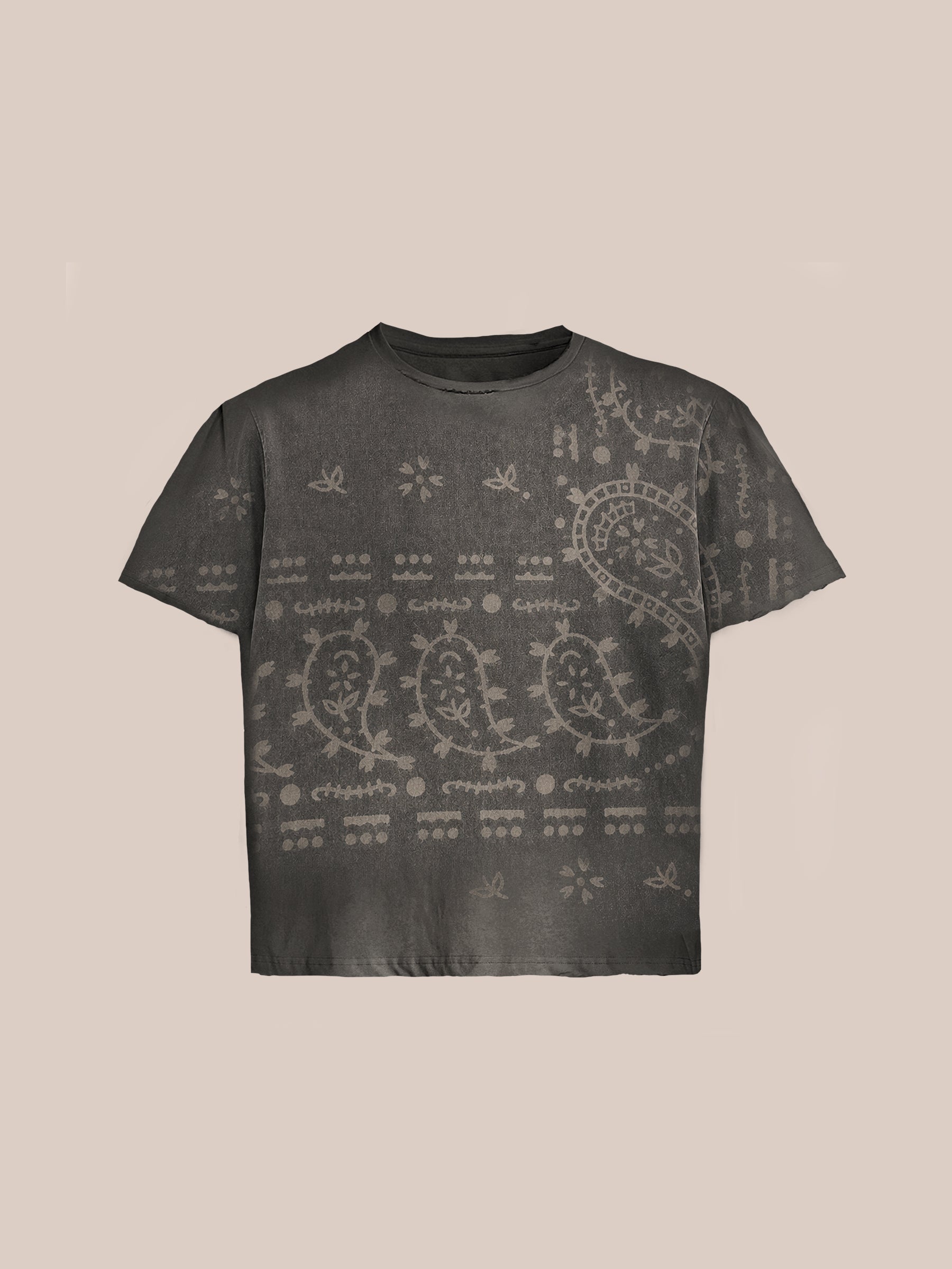 Faded Paisley Print Tee